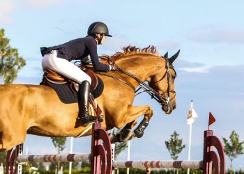 140859683_412359016512303_3792158637580980123_n