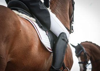 141330511_701949437134038_8848064089339398433_n