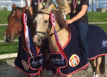 14233431_10154337874786183_1799993026_o