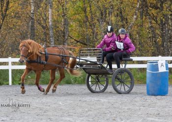 14444662_10157717036560713_423637462154519568_o