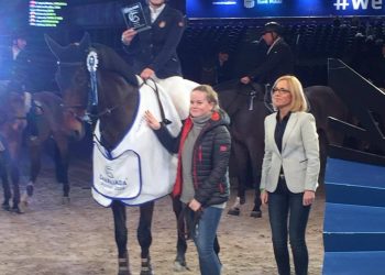 15321568_398335600497909_963962023_o