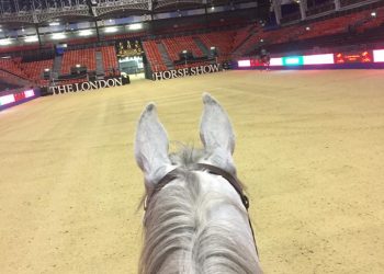 15380649_10158163584440122_3903471780664269799_n