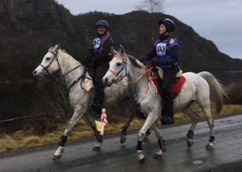 15541959_330390324026757_5279969863609264671_n