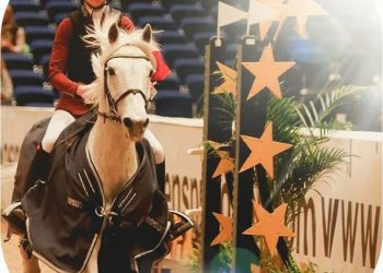 17092157_411713925848485_490975004_n