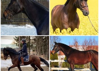 172256016_911704429664199_2956156636897121608_n