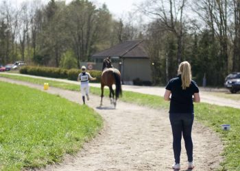 177609387_892806731289859_736571304427487626_n