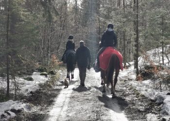 181304906_168757658470030_8209034302710024660_n_1