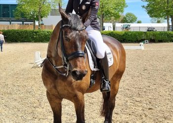 183781929_876443169605103_6222542134360322954_n