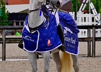 190213763_217147546657988_2947107759338995747_n