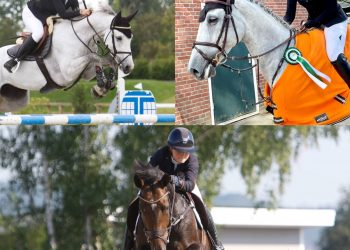 191580919_1178135445992655_2545880514019455215_n