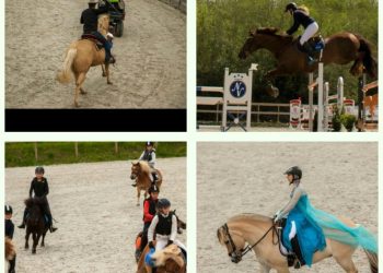 19359046_10154736283452749_1324395604_o