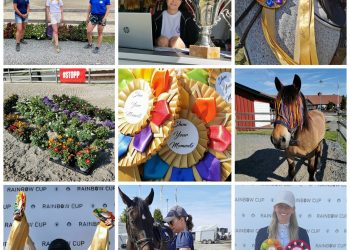 198038515_302581164947772_217965720126577337_n