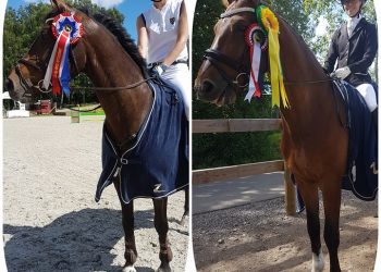 19848786_476685676017976_2224666_n