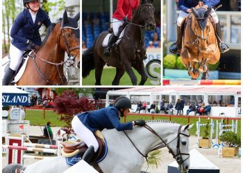 19873875_476373279382549_1151077701_n