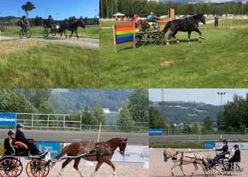 198895025_627972664786156_367302547378021623_n