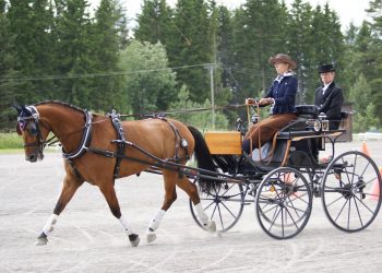 1_linn_stoekken_nielsen_og_cg_2