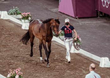 1_mb_2nd_horse_inspection