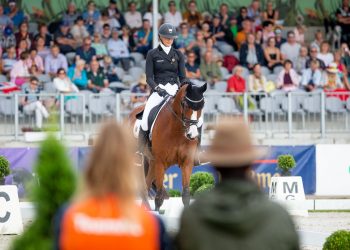 2019_08_29_dressur_i-005