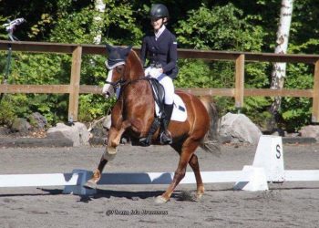 20247867_10155374244111113_1776928624089840723_o