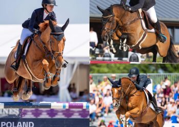 202539320_237863047800757_4857422575048617688_n