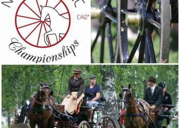 20269876_484711125215431_1359146461_n