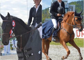 20273301_485735701779640_14991840_o