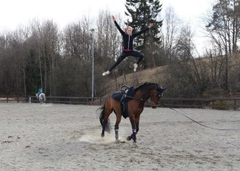 20464460_10154581232886286_1539581779_n