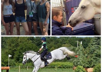 20496524_489223781430832_1369603841_n