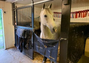 204995867_785336292084119_6000865053608042824_n