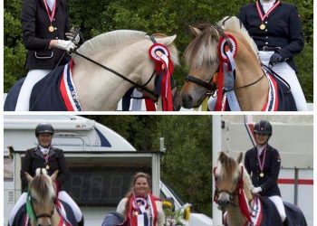 20668108_493113444375199_1709406743_n