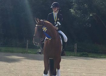 20676780_976970685779322_996025107_o