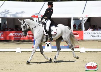 20901385_1378749302178254_3248639251667123142_o