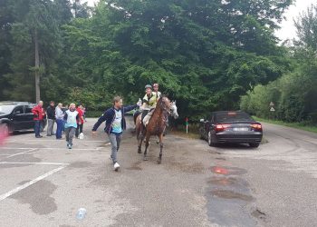 20904472_10154920118980677_2032876833_o