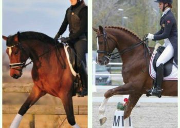 21533529_10154984082737749_656422851_o