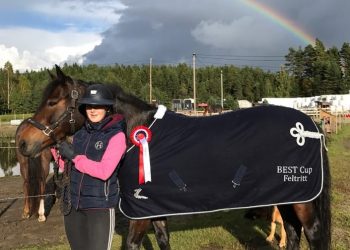 21741851_345506895907762_960164447_n