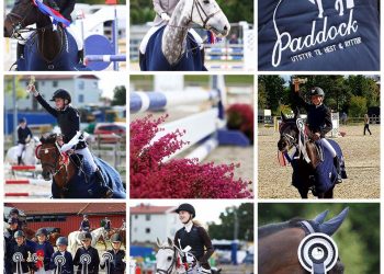 21903672_511179609235249_162406257_n