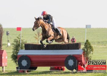 22556167_1011671635642560_1607473023_o