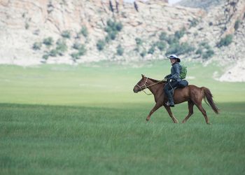 22a60ffd-ba4c-4abe-9445-87a5e2933f21