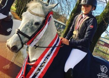 23360981_10155142531547749_2033217863_n