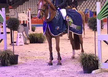 23376502_10159578685285182_268684499320479374_n