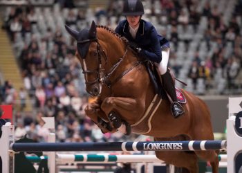 23857253348_171dcb7574_k