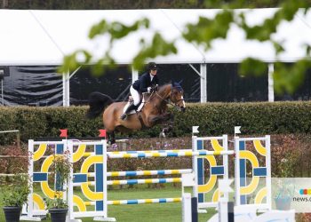 24169380_10155705287640470_694644831_o