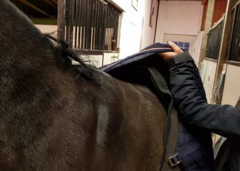 26540387_10155289932842749_2064077300_o