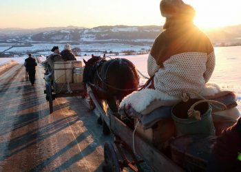 27999895_10156151946063988_295132965_o