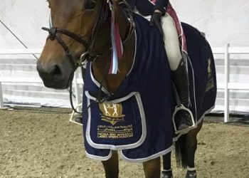 28379268_10155964404735470_8434479092960516171_n