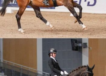 28407491_10155418413467749_492001453_o