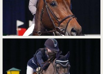 29103344_10155466053517749_4535554665089073152_o