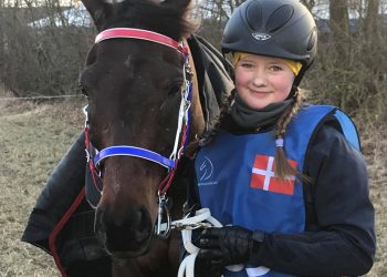 29313571_1709631939096950_4277638369975992320_o