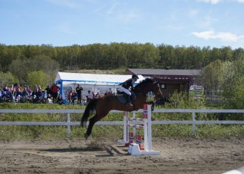 2_lotte_karlsen_og_quadro_12_foto_marthe_elise_elstad