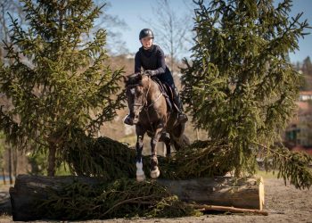 31492192_10160348872210494_7081240115674087424_n